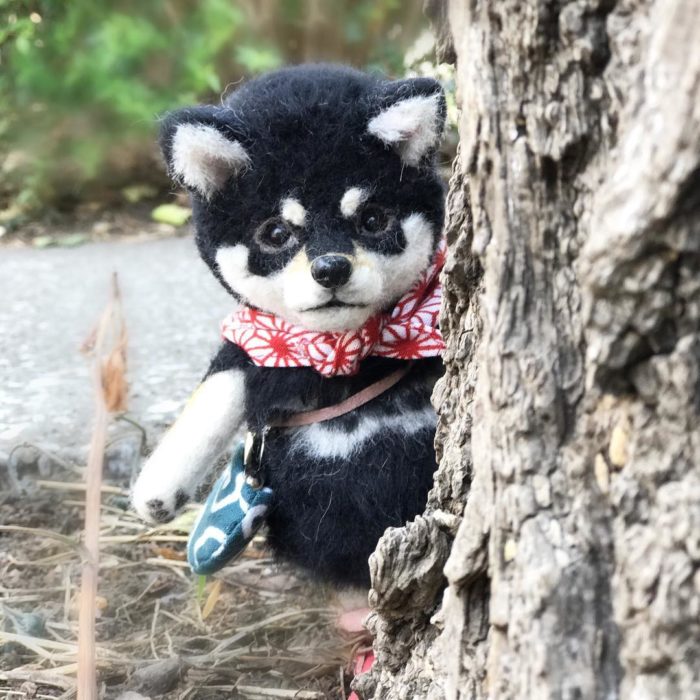 Shiba de lana detrás de un árbol