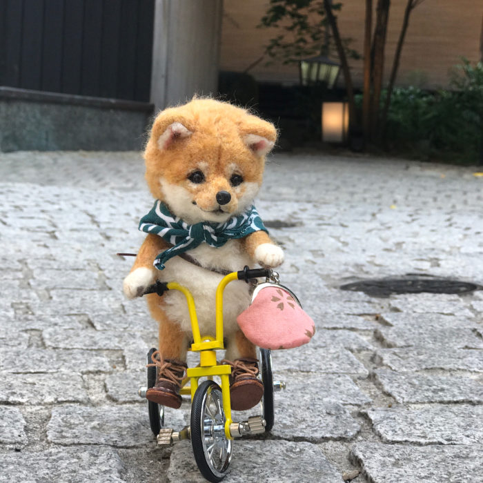 Shiba de lana en bicicleta