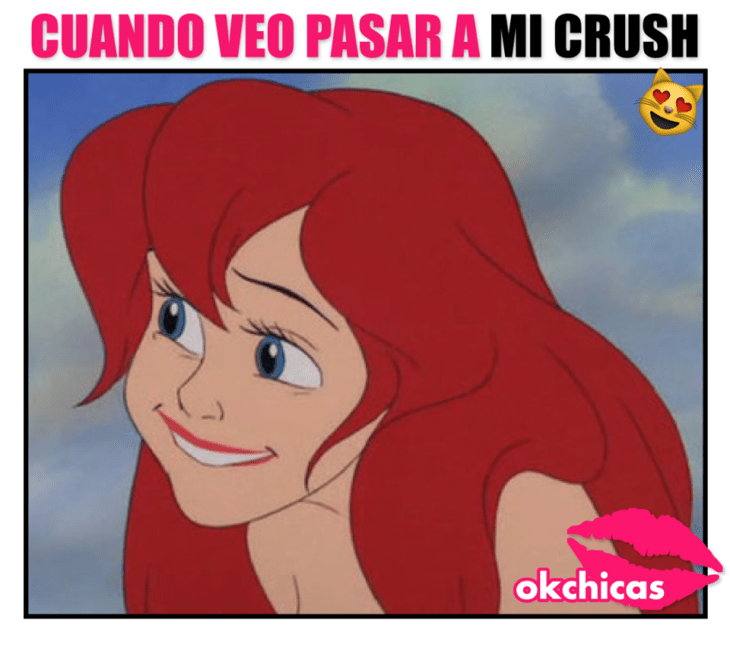 Princesas disney memes