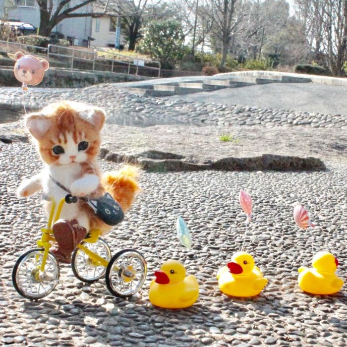 Gatito de lana en bicicleta con patos