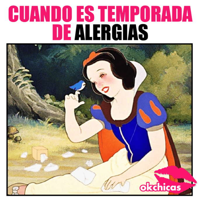 Princesas disney memes