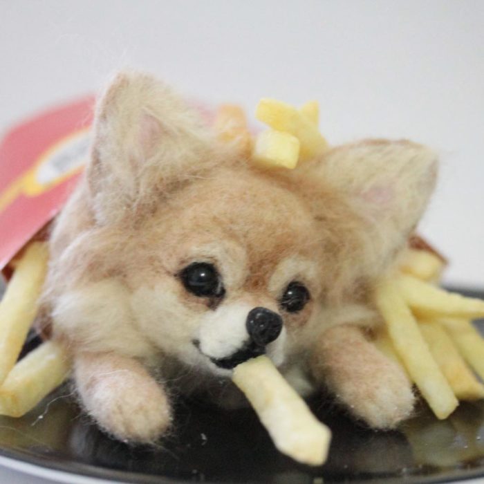 Pomeranian de lana con papas fritas