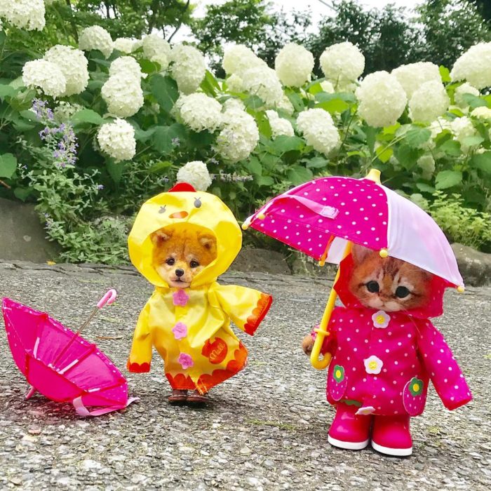 Animalitos de lana con impermeable y sombrillas