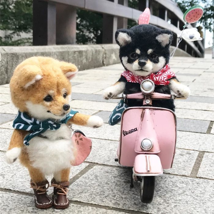 Shibas de lana salen a pasear