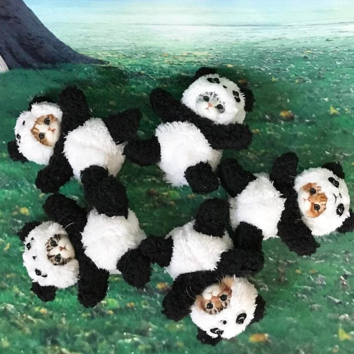 Muñecos de lana con trajes de oso panda