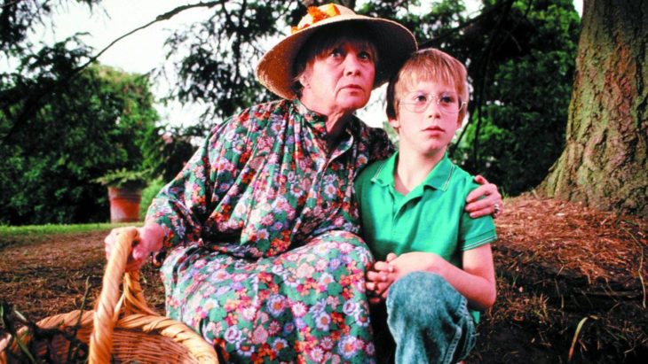 abuela con su nieto en el campo 