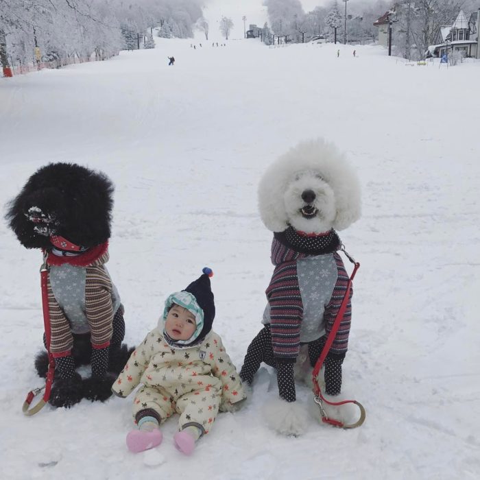 Mame Riku y Qoo en la nieve