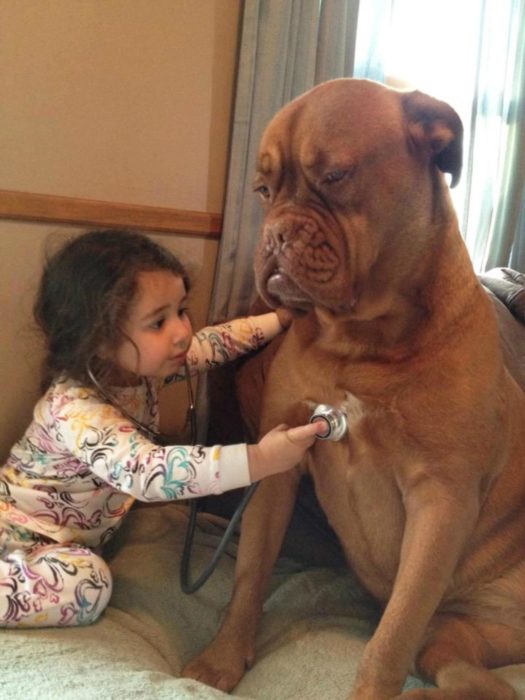 perro sentado y niña escuchando su latido 