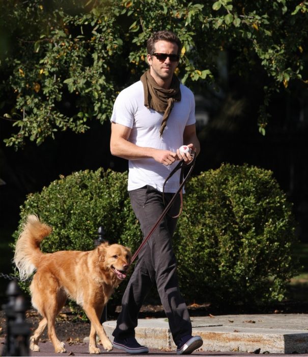 Ryan Reynolds paseando a su perro baxter