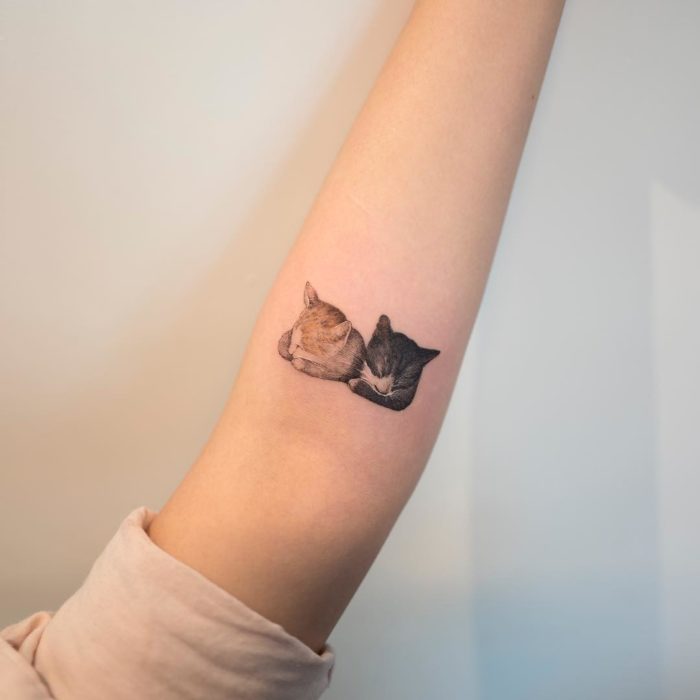 tatuajes de gatos de colores 