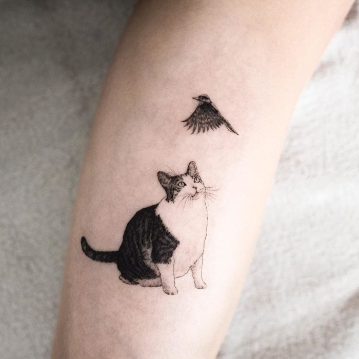 Tatuaje de gato con ave 