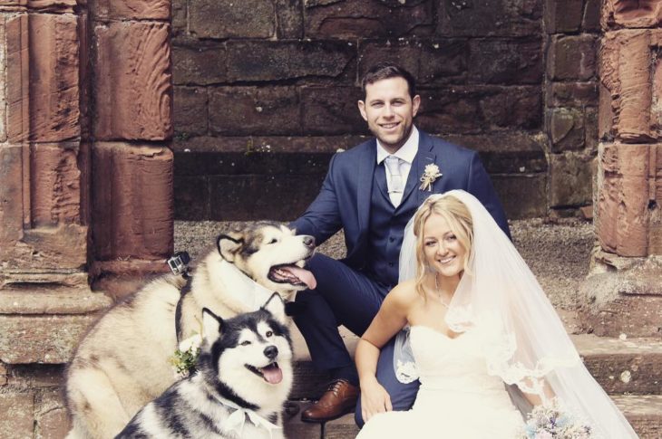 malamutes posando con los novios