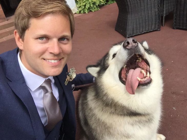 malamute junto al padrino de boda