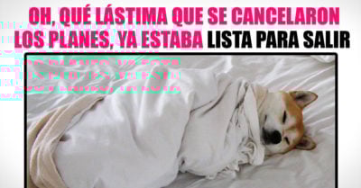 20 Honestos memes que solo entienden las chicas que ODIAN salir de su casa