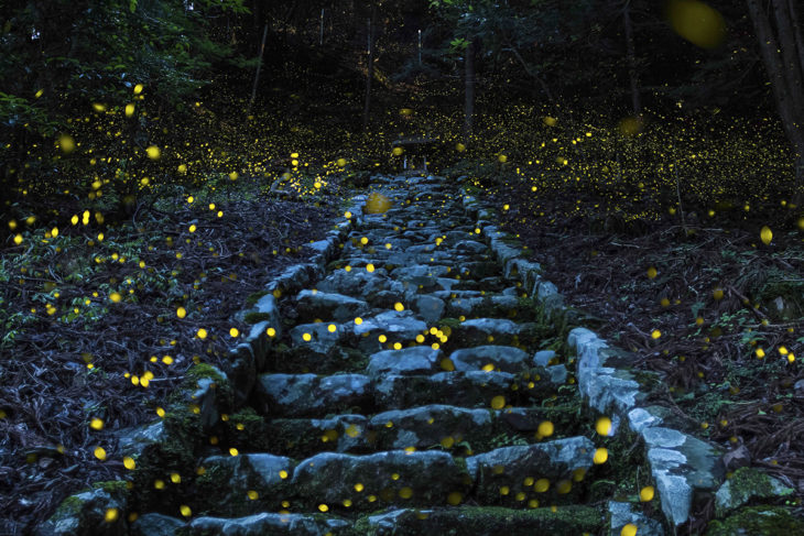 escaleras en Japón con luciernagas