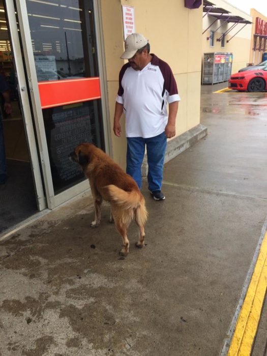 otis el perro tejano 