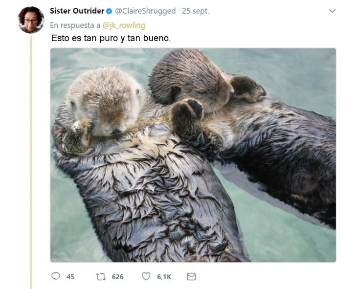 J.K. Rowling tweets and harry otter