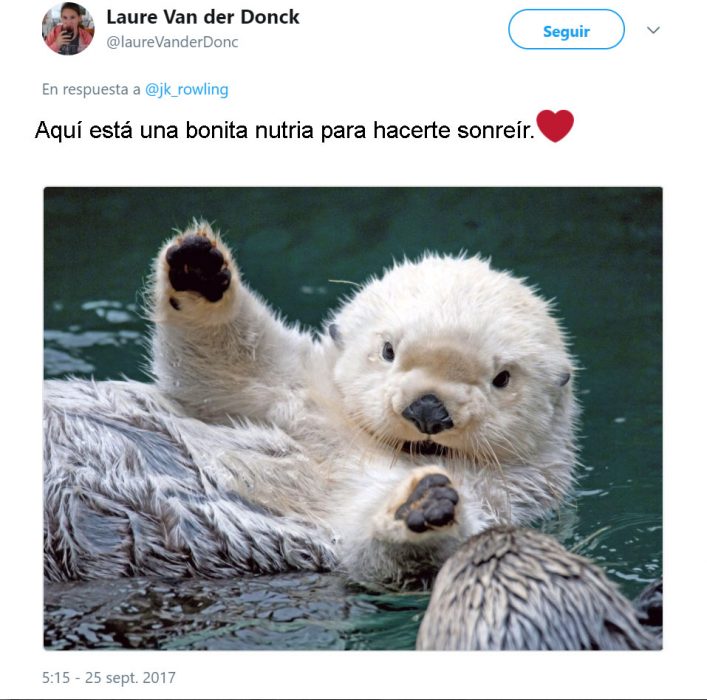 J.K. Rowling tweets and harry otter