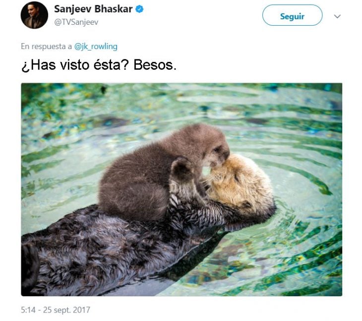 J.K. Rowling tweets and harry otter