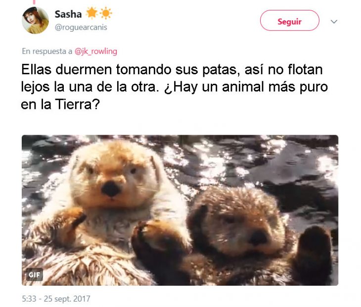 J.K. Rowling tweets and harry otter