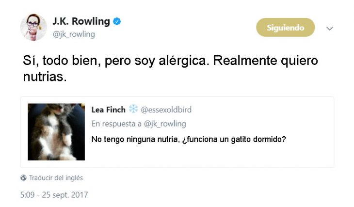 J.K. Rowling tweets and harry otter