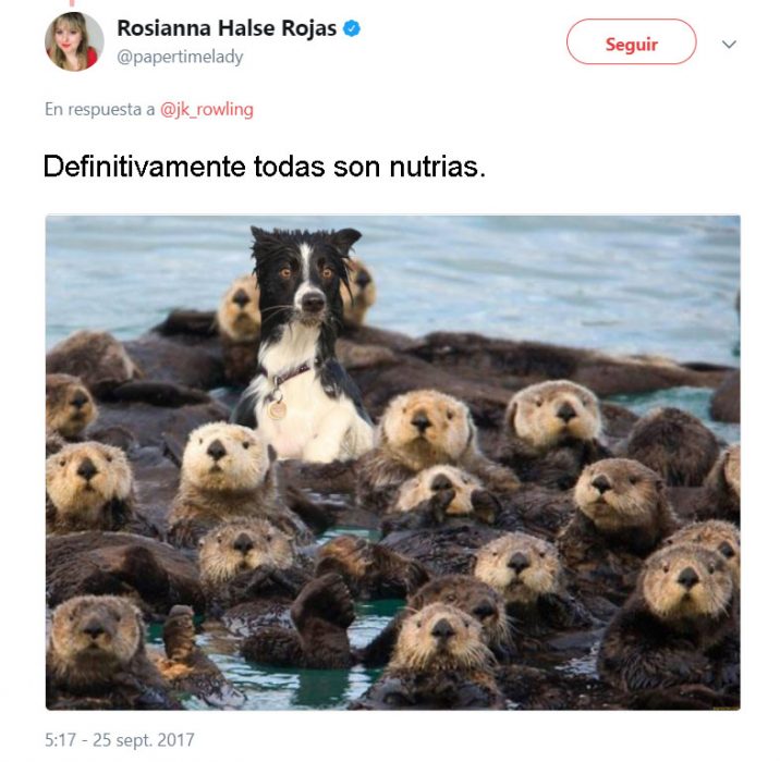  J.K. Rowling tweets and harry otter