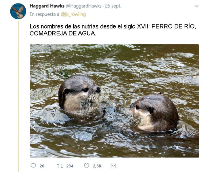 J.K. Rowling tweets and harry otter