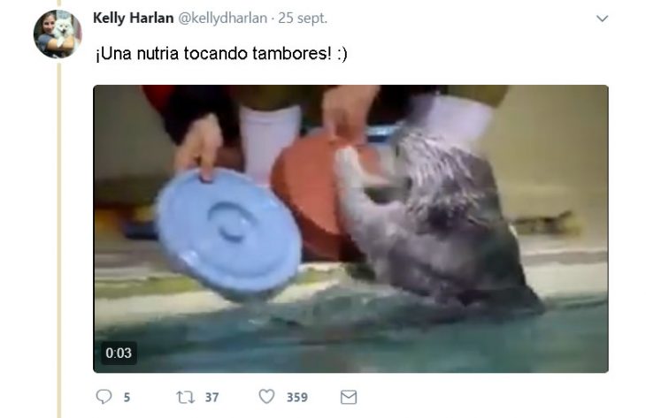 J.K. Rowling tweets and harry otter