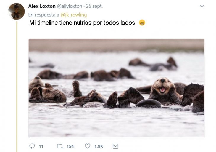 J.K. Rowling tweets and harry otter