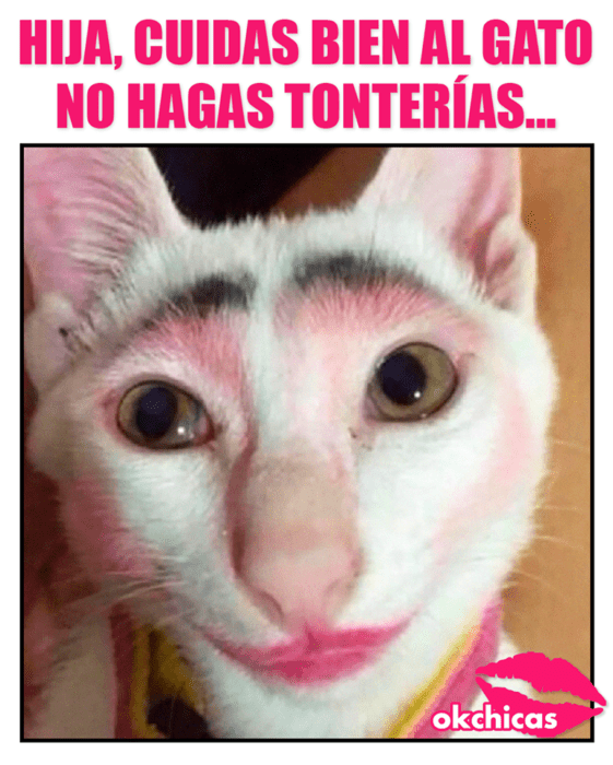 ok chicas memes maquillaje