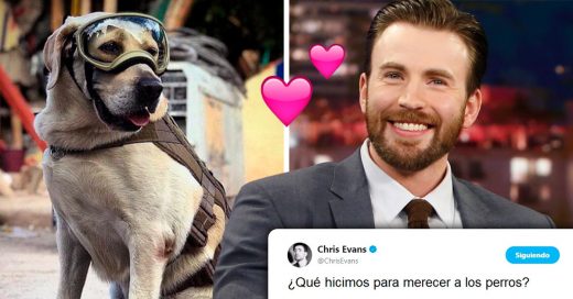 Chris Evans demuestra su admiración por Frida, la perrita rescatista de México