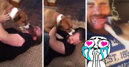 Chris Evans se reunió con su perro después de algunos meses; su reacción es de lo más conmovedor 