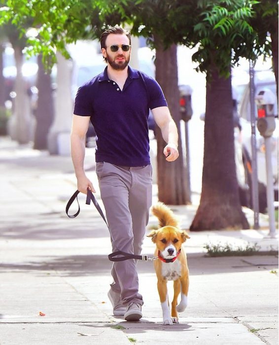 chico guapo paseando a su perro 