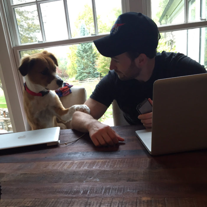 Famosos con sus perros; Chris Evans