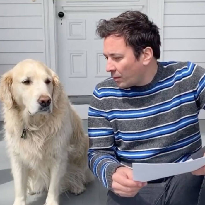 Famosos con sus perros; Jimmy Fallon