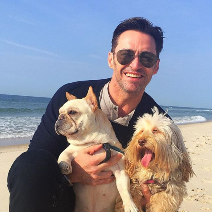 Famosos con sus perros; Hugh Jackman