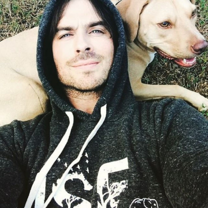 Famosos con sus perros; Ian Somerhalder