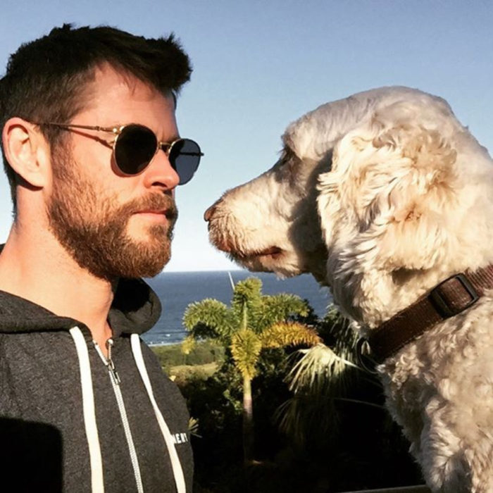 Famosos con sus perros; Chris Hemsworth