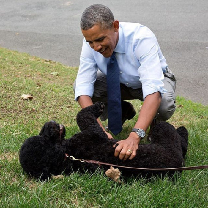 Famosos con sus perros; Barack Obama