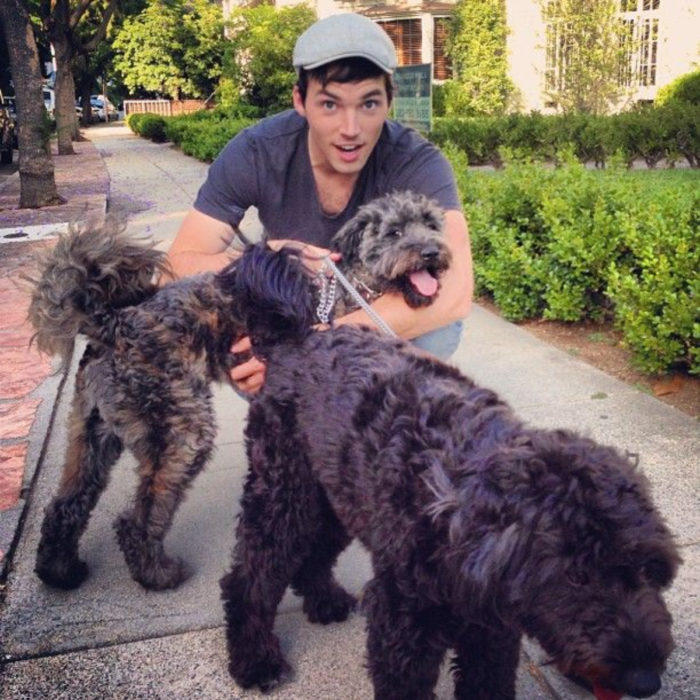 Famosos con sus perros; Ian Harding