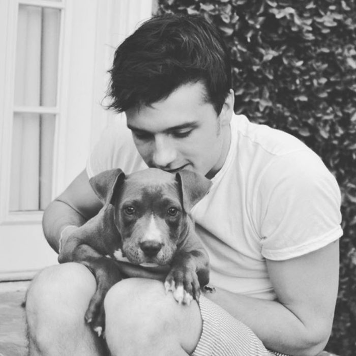 Famosos con sus perros; Josh Hurcherson