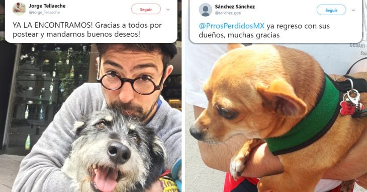 Las mascotas se están reencontrando con sus dueños tras el sismo en México; Internet se desborda de alegría