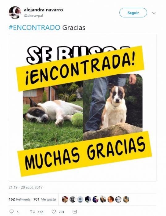 anuncio de perro 