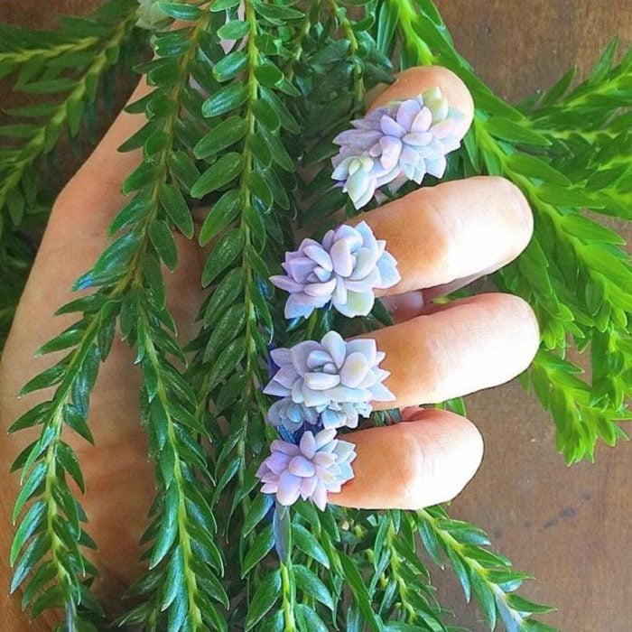 mano con flores 