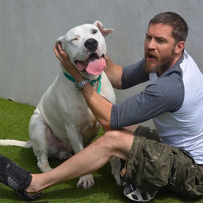 chico jugando con un perro blanco 