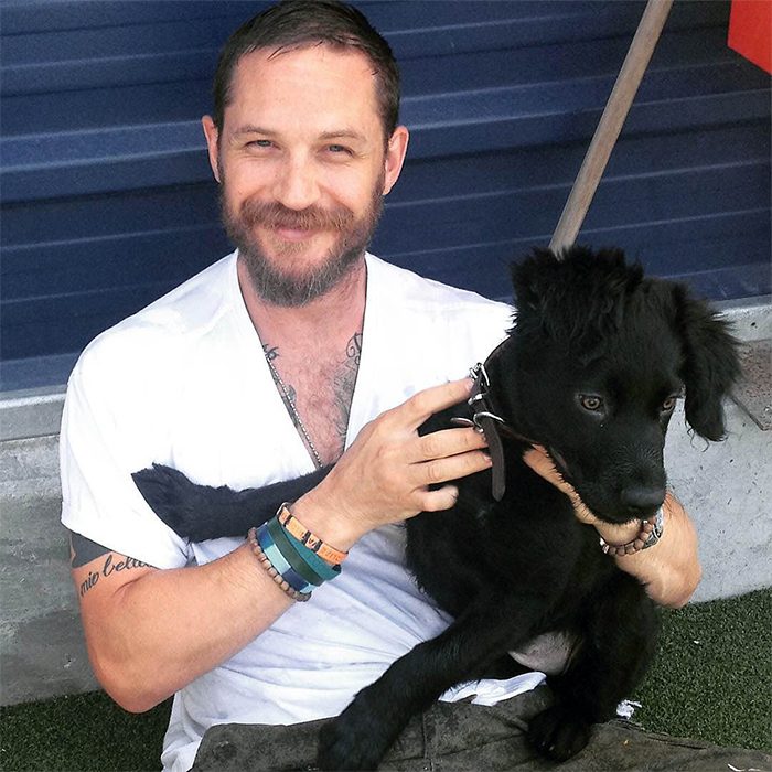 hombre con camisa blanca jugando con un perro 