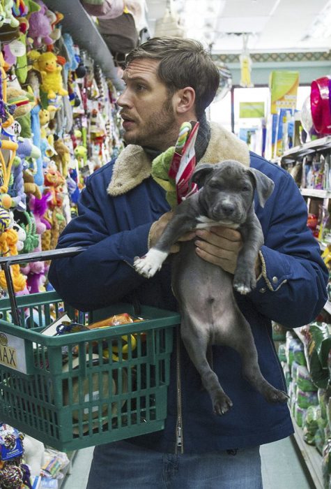 chico paseando con perro 