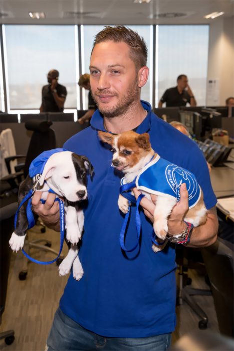 hombre con un par de cachorros 