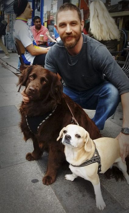 chico posando con dos perros 