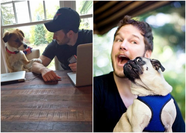 chicos jugando con perros 